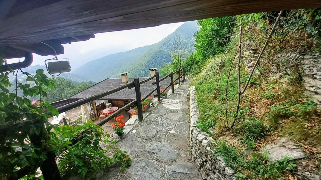 Vallemaira House "Chalet Le Terrazze" 2-12 Persone In Exclusiva Da 2 Persone San Damiano Macra Dış mekan fotoğraf